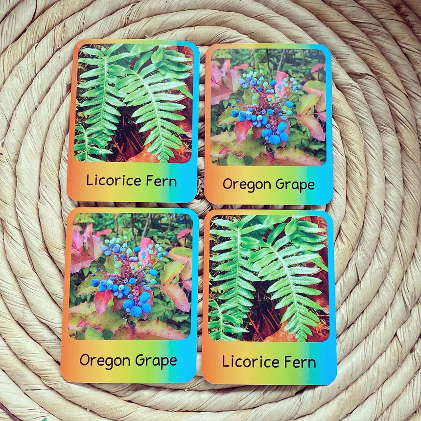 Strong Learners Memory Matching Cards: Indigenous Plants