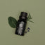 September Harvest Moon Diffuser Oil