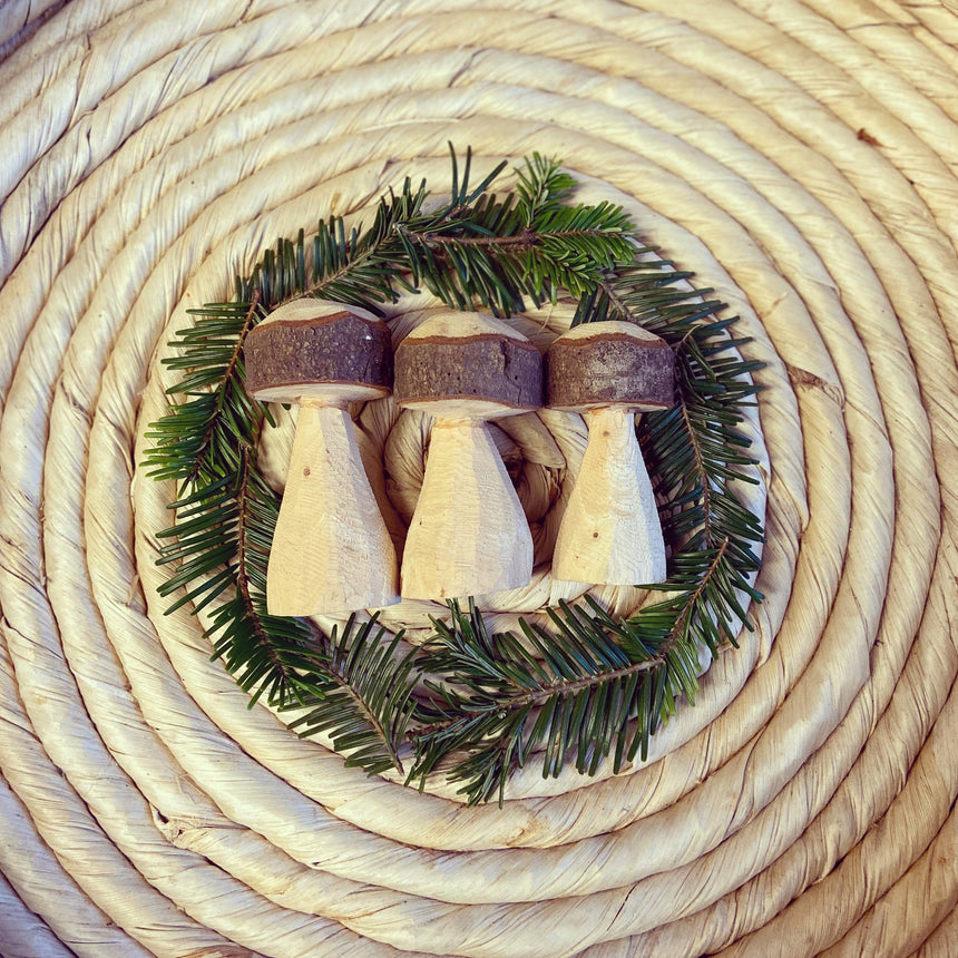 Woodland Mushroom Set of Three