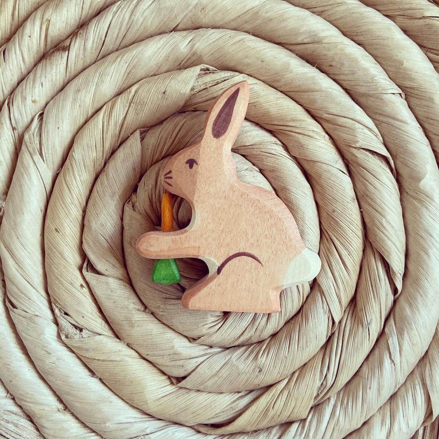 Rabbit With Carrot